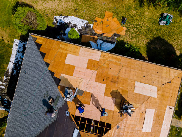 Best Roof Restoration Services  in Basye, VA