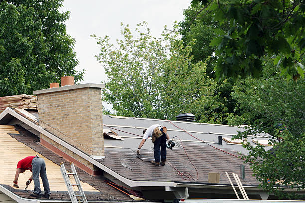 Best Roof Leak Repair  in Basye, VA