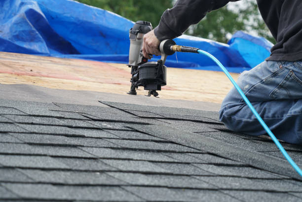 Best Roof Repair Services  in Basye, VA